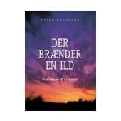 Der brænder en ild – prædikener til kirkeåret