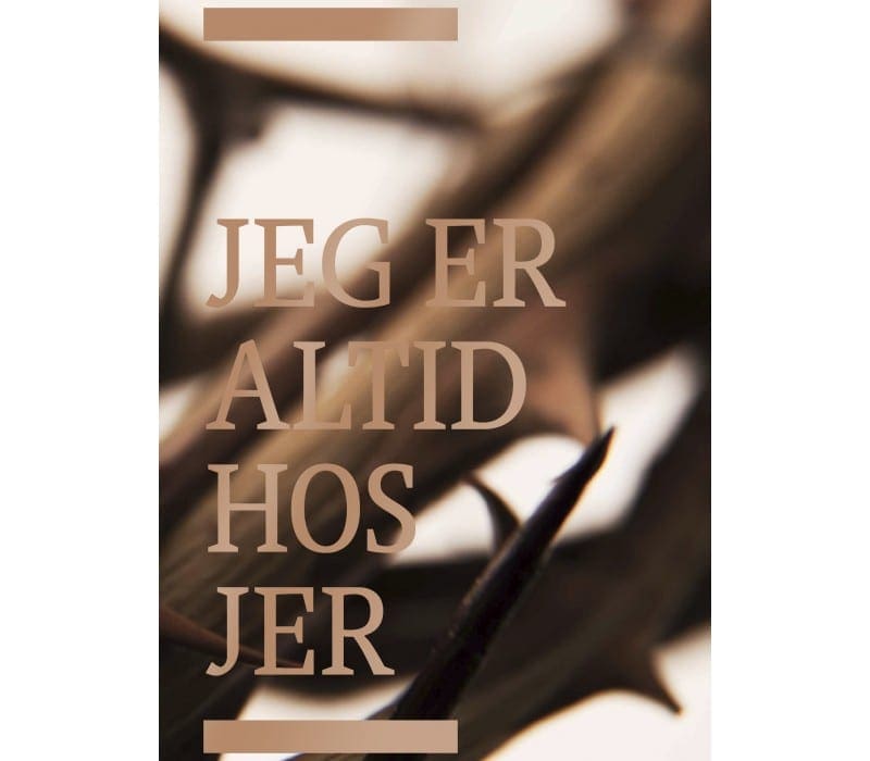 Bibelen på hverdagsdansk