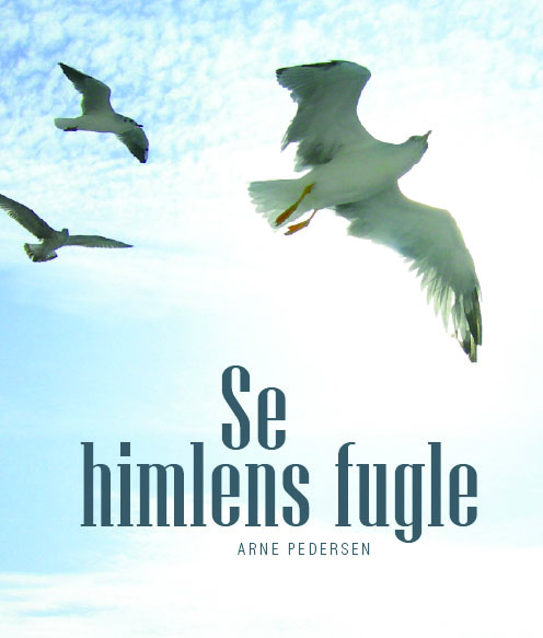 Se himlens fugle